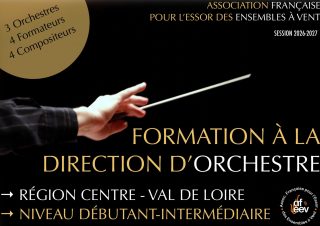 Formation à la Direction d’Orchestre en Région Centre-Val-de-Loire @regioncentre_valdeloire - niveau débutant-intermédiaire
Jérôme Genza, Pascale Jeandroz, @a.didierdescamps 
Société Musicale d’Argenton-sur-Creuse, @orchestreharmonie, @harmoniedebourges 
Brochure sur notre site:
https://www.afeev.fr/formations-afeev/direction-orchestre/